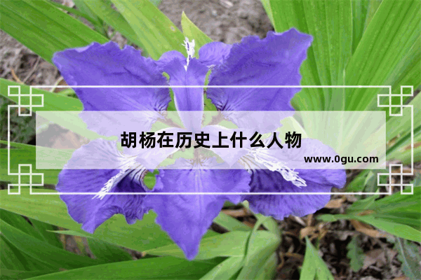 胡杨在历史上什么人物