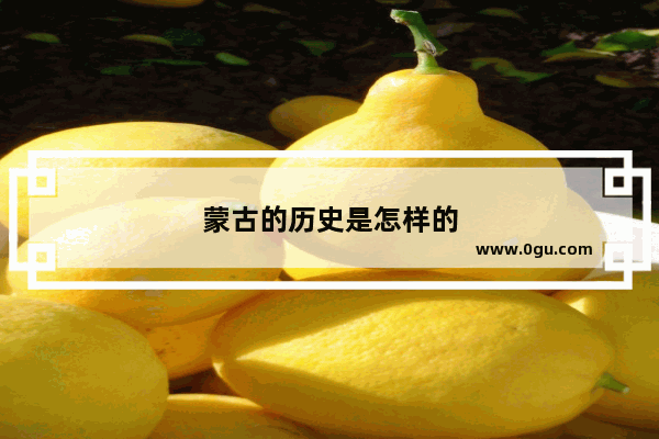 蒙古的历史是怎样的