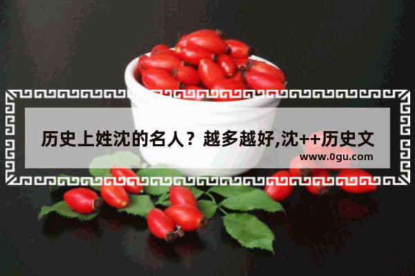 历史上姓沈的名人？越多越好,沈++历史文化