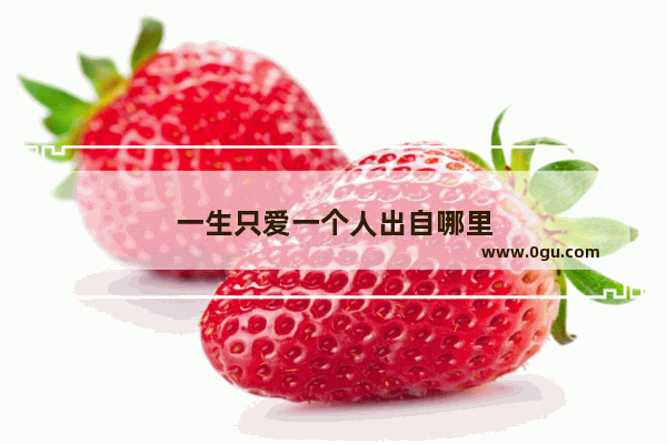 一生只爱一个人出自哪里