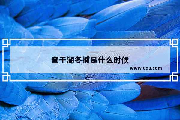 查干湖冬捕是什么时候