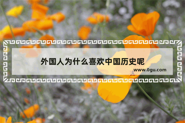 外国人为什么喜欢中国历史呢