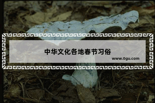 中华文化各地春节习俗