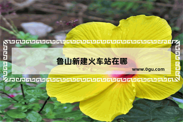 鲁山新建火车站在哪
