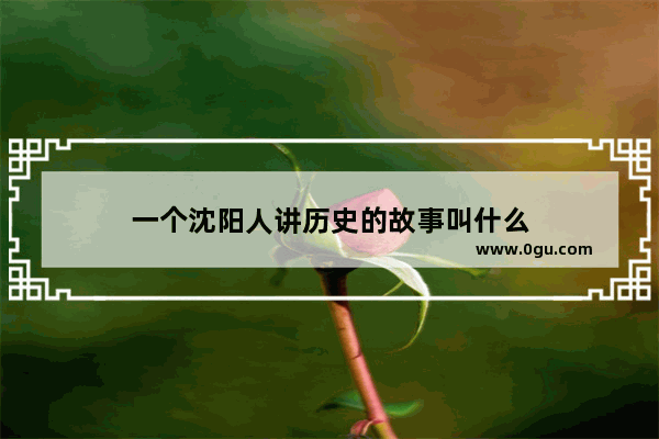 一个沈阳人讲历史的故事叫什么