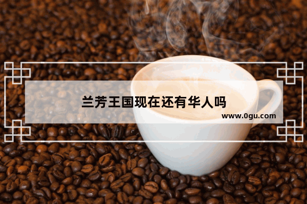兰芳王国现在还有华人吗