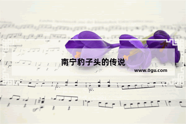 南宁豹子头的传说