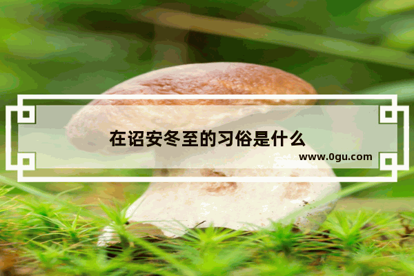 在诏安冬至的习俗是什么