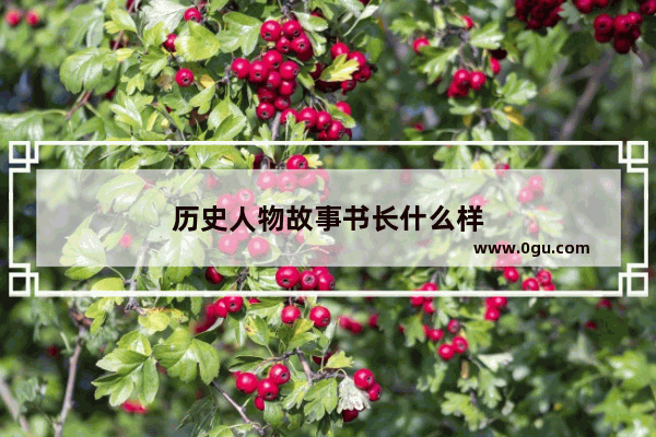 历史人物故事书长什么样