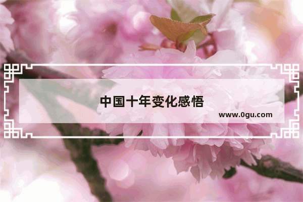 中国十年变化感悟