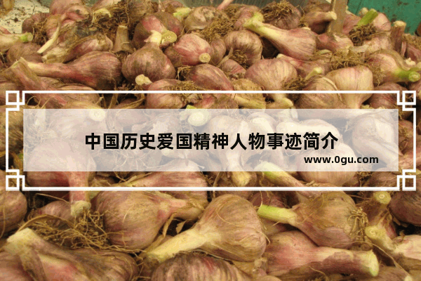 中国历史爱国精神人物事迹简介