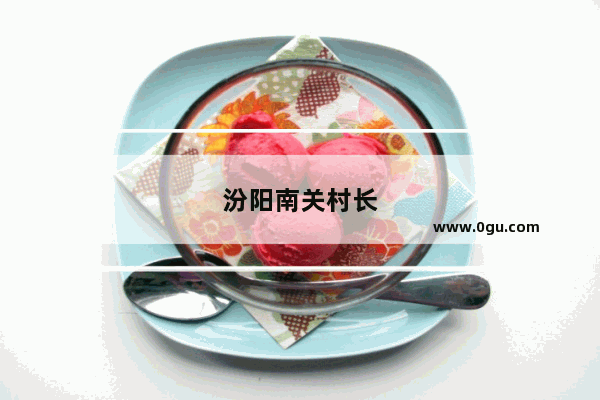 汾阳南关村长