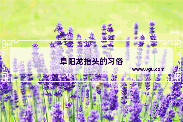 阜阳龙抬头的习俗