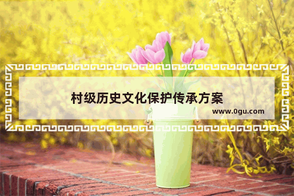 村级历史文化保护传承方案