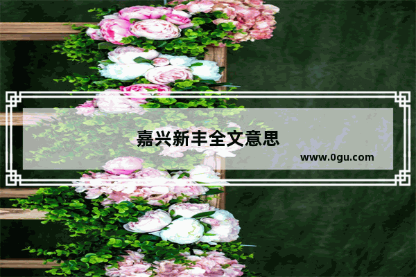 嘉兴新丰全文意思