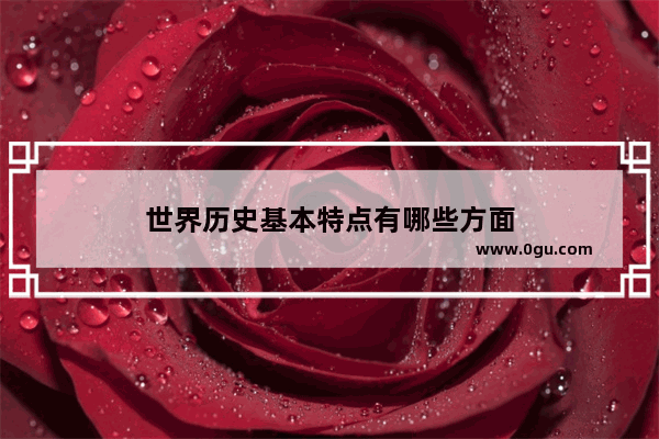 世界历史基本特点有哪些方面