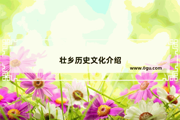 壮乡历史文化介绍