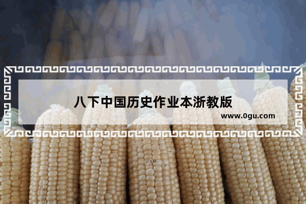 八下中国历史作业本浙教版
