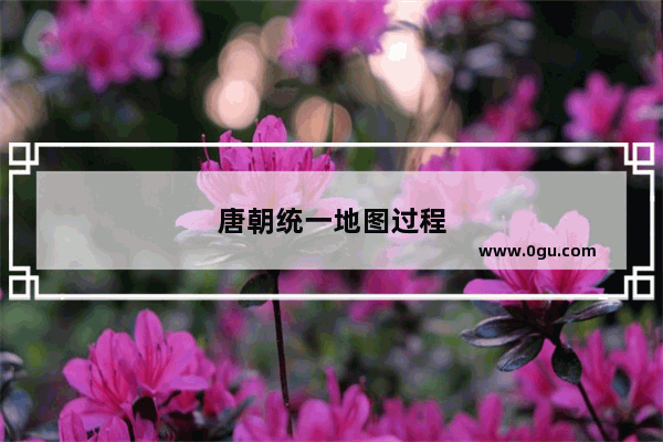 唐朝统一地图过程