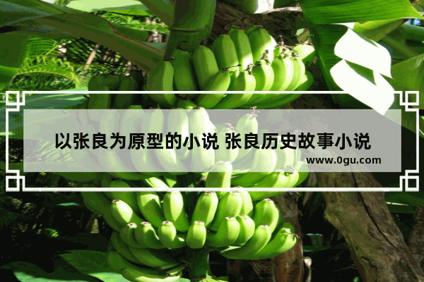以张良为原型的小说 张良历史故事小说