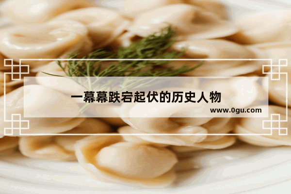 一幕幕跌宕起伏的历史人物