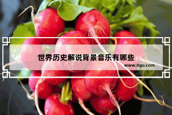世界历史解说背景音乐有哪些