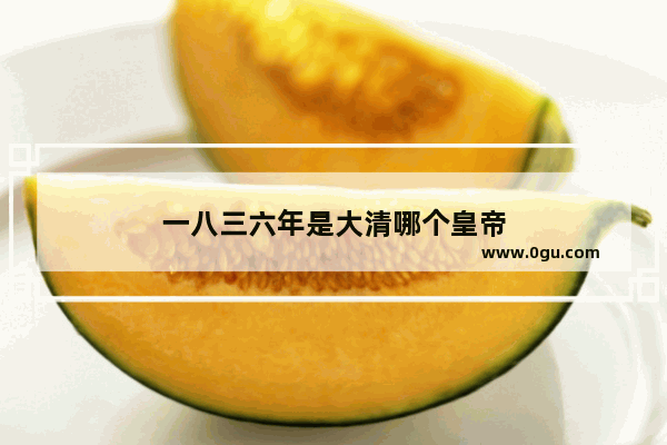 一八三六年是大清哪个皇帝