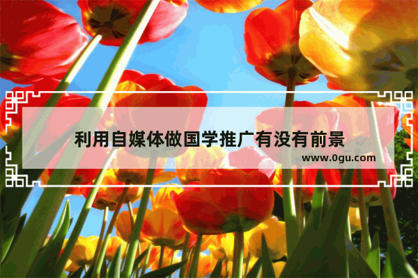 利用自媒体做国学推广有没有前景
