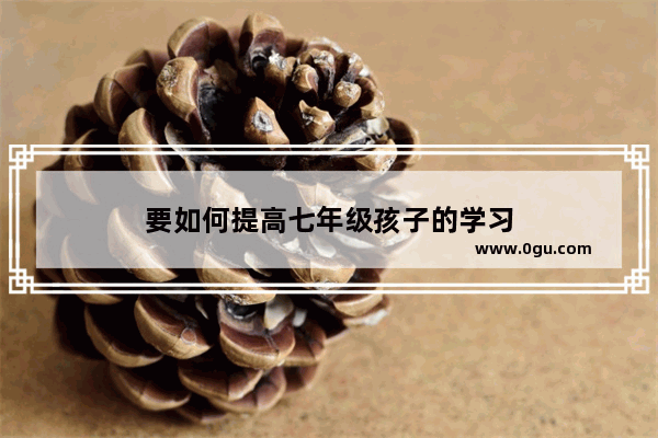 要如何提高七年级孩子的学习