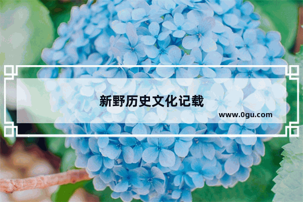 新野历史文化记载