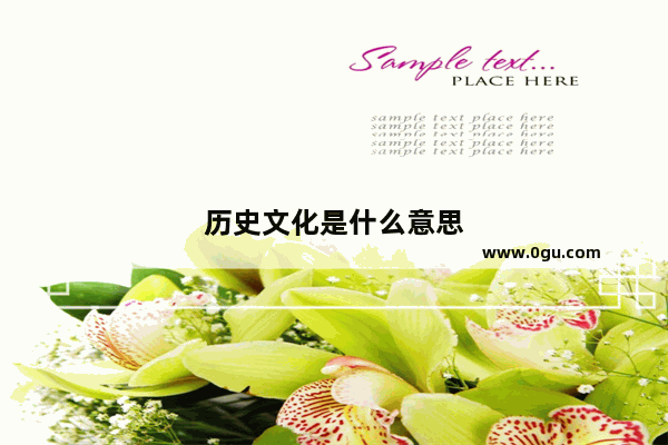 历史文化是什么意思