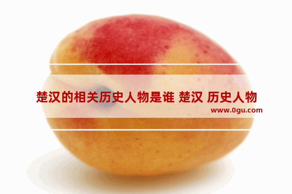 楚汉的相关历史人物是谁 楚汉 历史人物