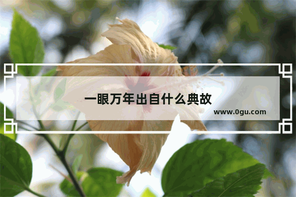 一眼万年出自什么典故
