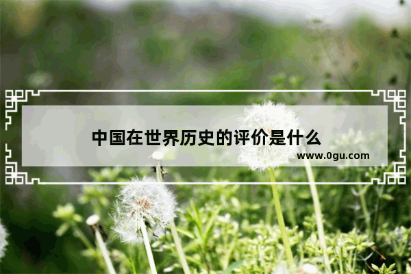 中国在世界历史的评价是什么