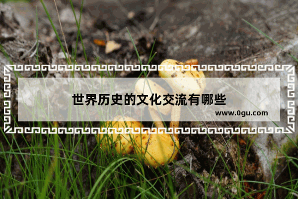 世界历史的文化交流有哪些