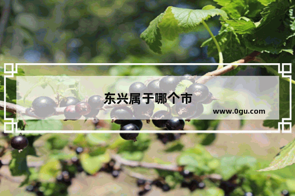 东兴属于哪个市
