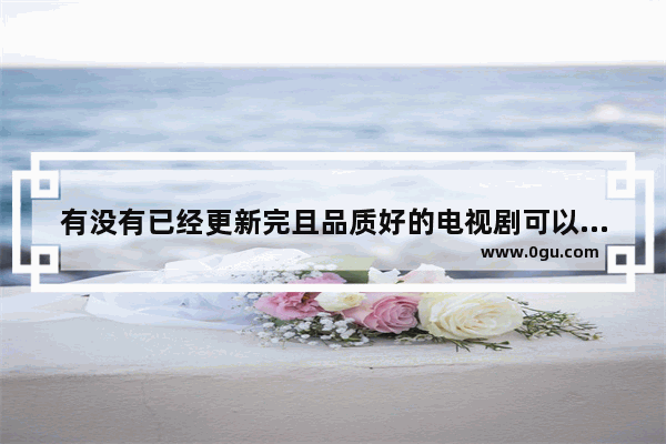 有没有已经更新完且品质好的电视剧可以推荐