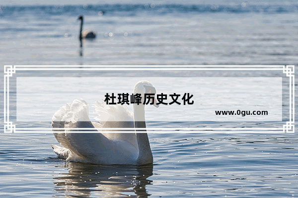 杜琪峰历史文化
