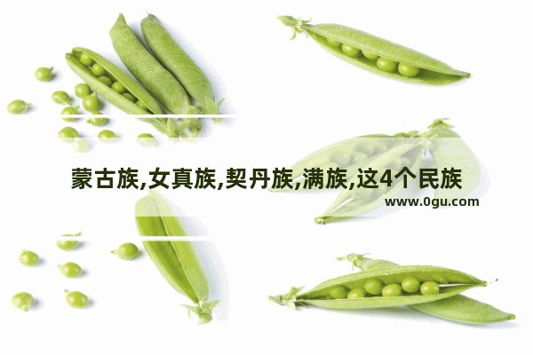 蒙古族,女真族,契丹族,满族,这4个民族有什么联系