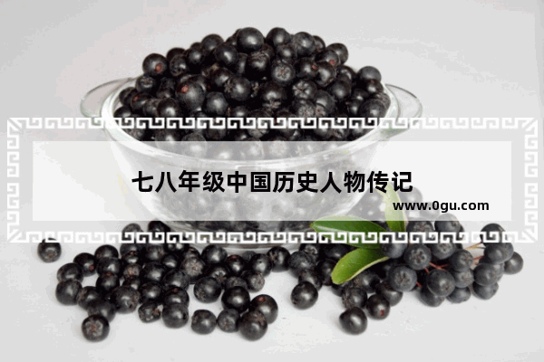 七八年级中国历史人物传记