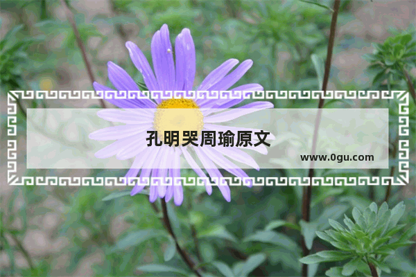 孔明哭周瑜原文
