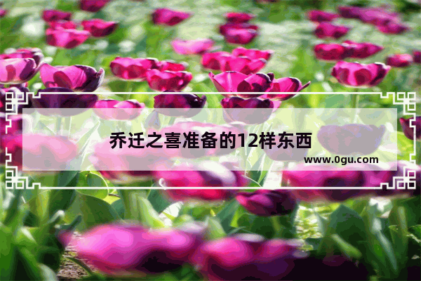 乔迁之喜准备的12样东西