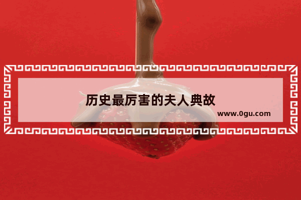 历史最厉害的夫人典故