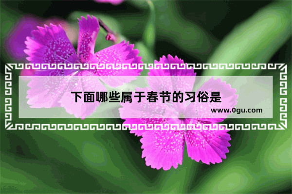 下面哪些属于春节的习俗是