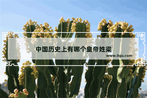 中国历史上有哪个皇帝姓梁