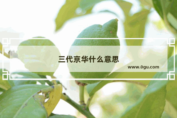 三代京华什么意思