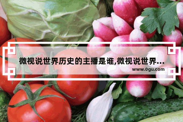 微视说世界历史的主播是谁,微视说世界历史的主播