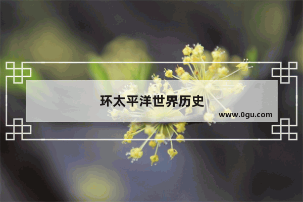 环太平洋世界历史