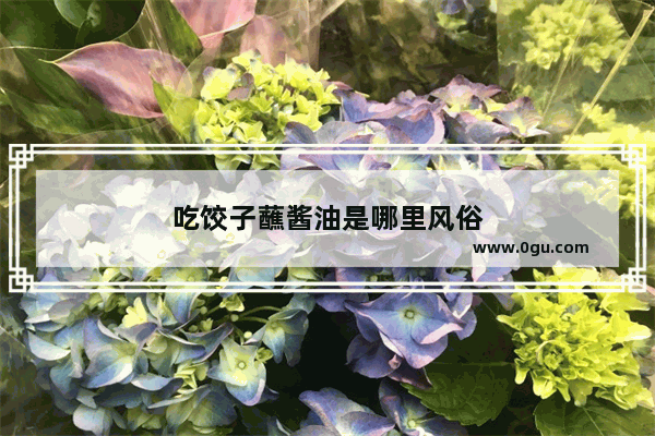 吃饺子蘸酱油是哪里风俗