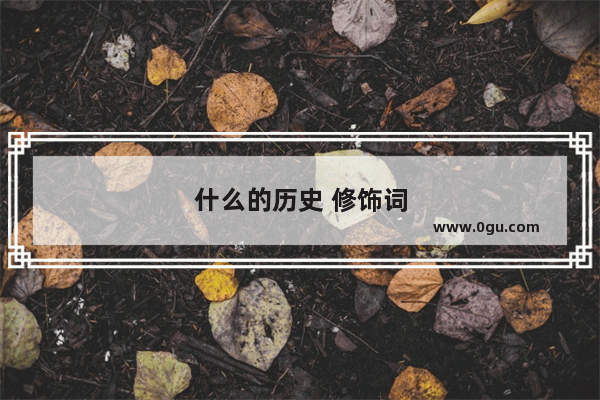 什么的历史 修饰词